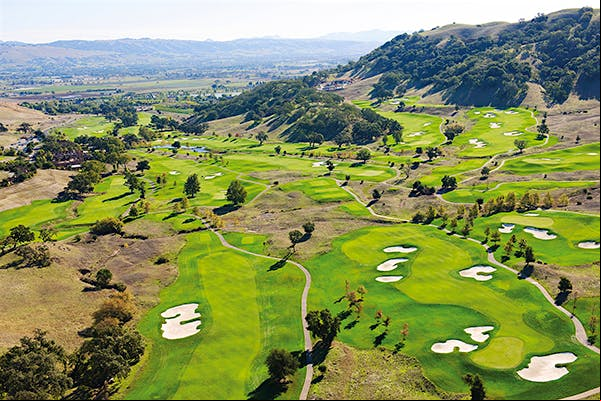 The Golf Artist